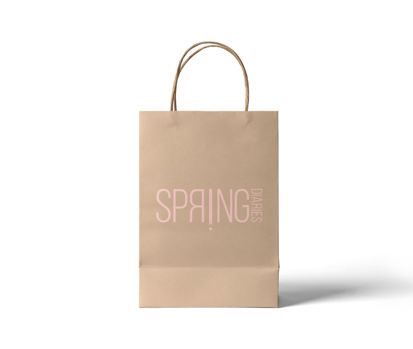 Custom Paper Carry Bag