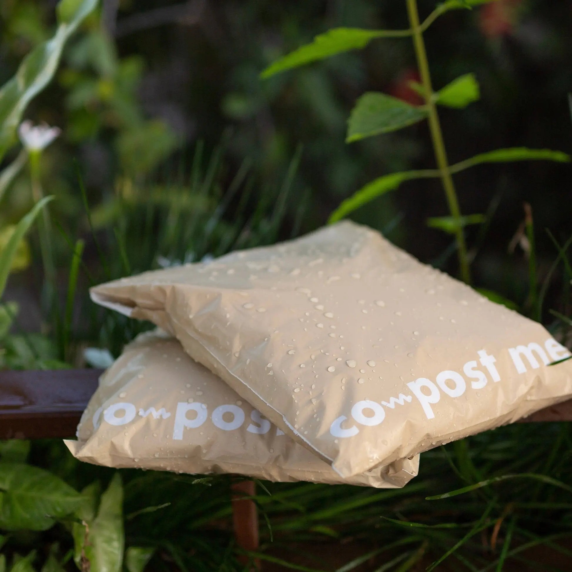 Stock Compostable Mailers 